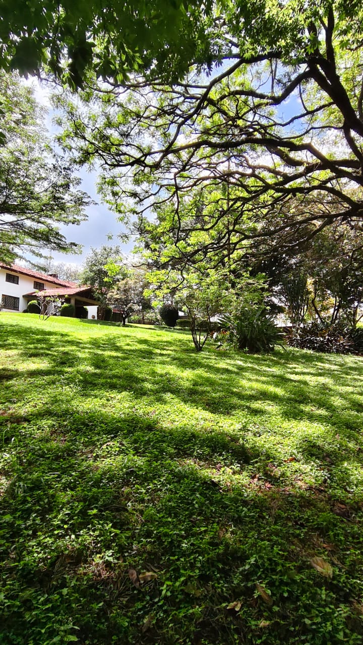 Lovely property - Kitisuru
